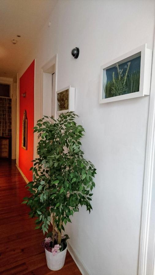 No Limit Alfama Guesthouse リスボン エクステリア 写真